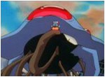 19 – Tentacool e Tentacruel!