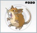 /album/galeria-de-fotos/a020-raticate-jpg/